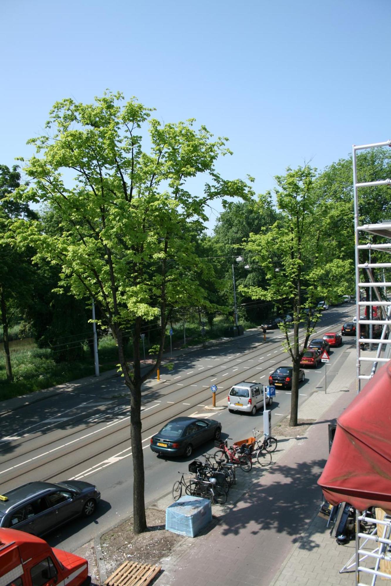 Frankendael Apartments Amsterdam Eksteriør billede