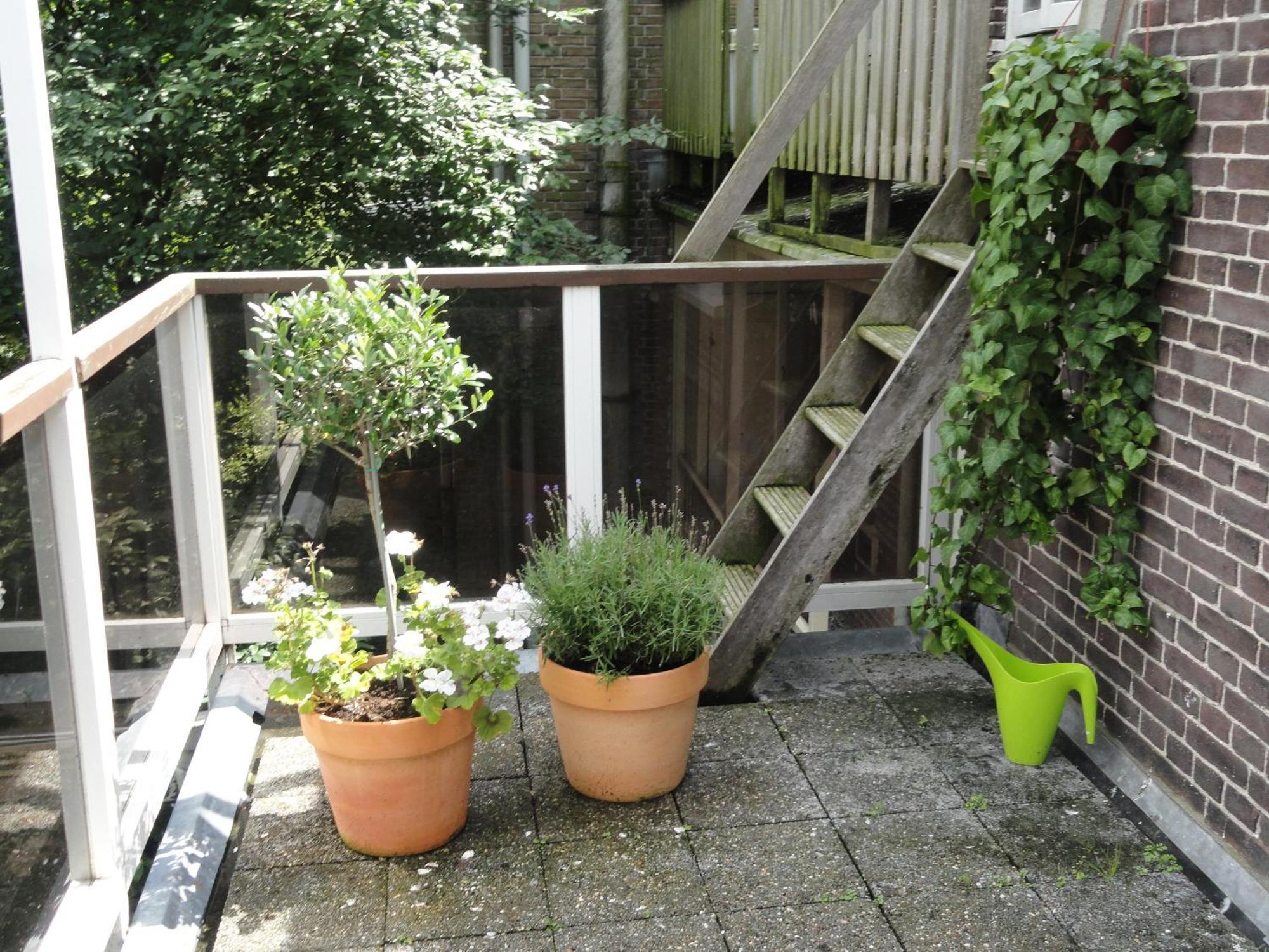Frankendael Apartments Amsterdam Eksteriør billede